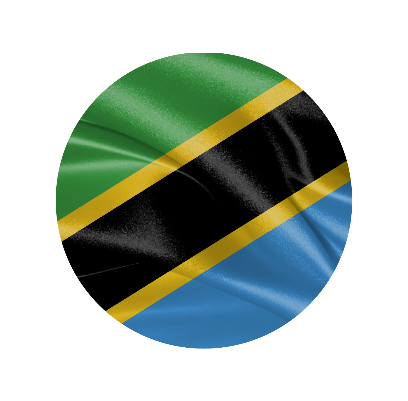 Home Tanzania Flag